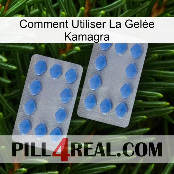Comment Utiliser La Gelée Kamagra 20